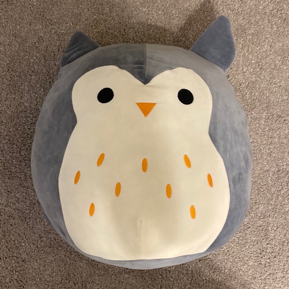 Squishmallows Toys Squishmallow Hoot The Grey Owl 6 Poshmark
